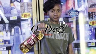 View the O Dog video