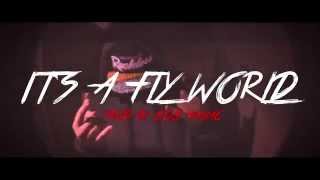 Young Chosen - It's A Fly World music video